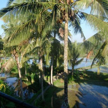 Toko Toko Bungalows Ubud Dış mekan fotoğraf