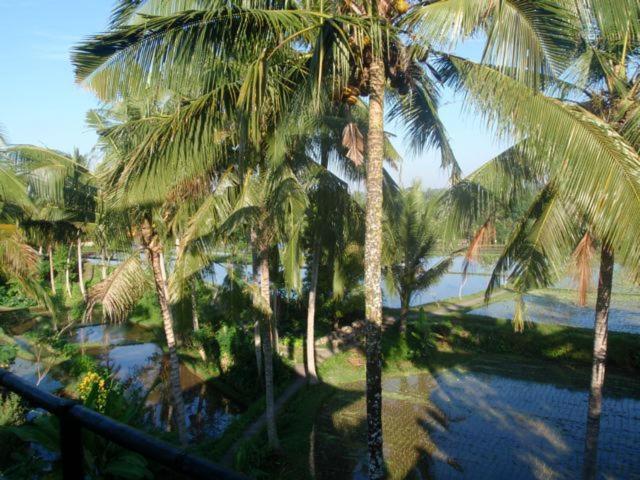 Toko Toko Bungalows Ubud Dış mekan fotoğraf